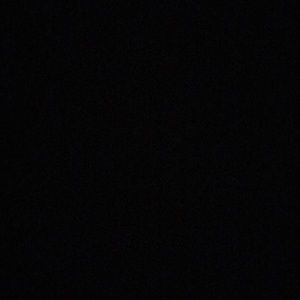 Meet your Posher, Delaney